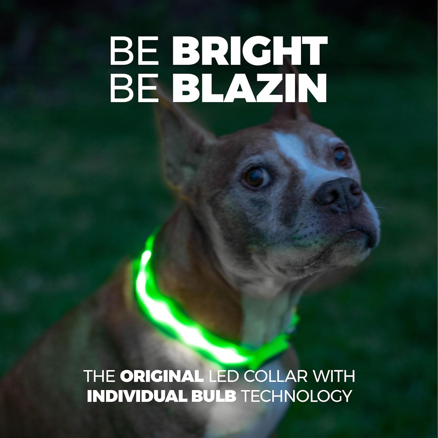 LED Dog Collar - Original USB Rechargeable, Waterproof Design with 1,000 Feet Visibility - Suitable for Small, Medium, and Large Dogs - US Brand