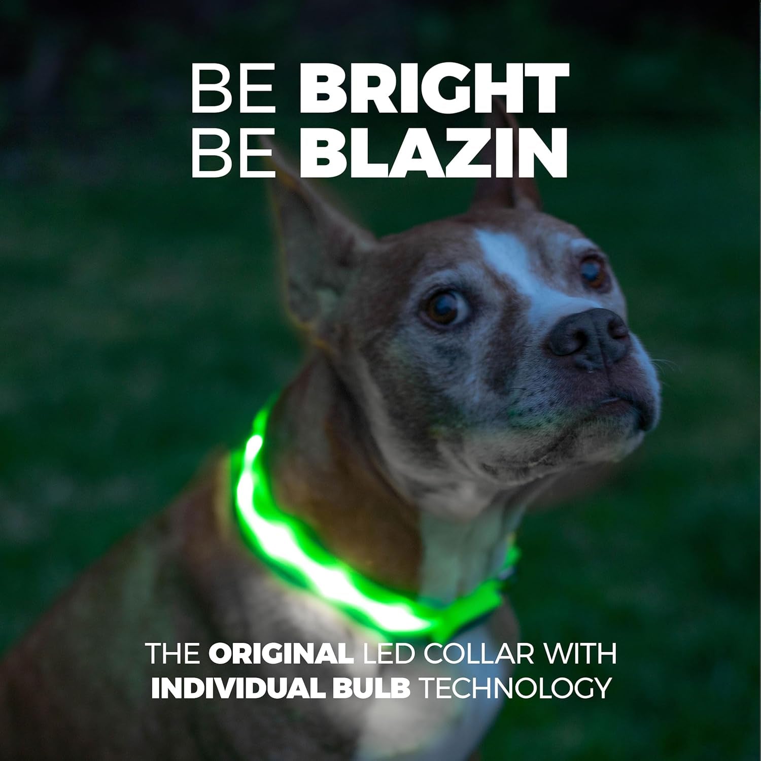 LED Dog Collar - Original USB Rechargeable, Waterproof Design with 1,000 Feet Visibility - Suitable for Small, Medium, and Large Dogs - US Brand