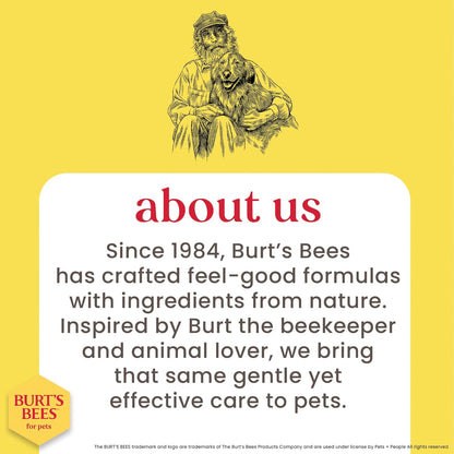 Waterless Shampoo Spray for Dogs, Apple & Honey, No-Rinse Dry Dog Shampoo for All Dogs and Puppies, Ph Balanced, No Sulfates, Parabens, Phthalates, 10 Fl Oz